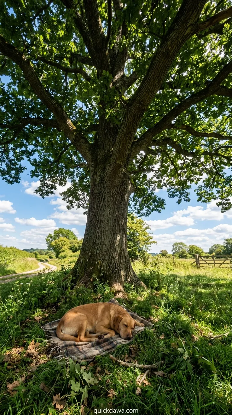 Natural Shade Trees