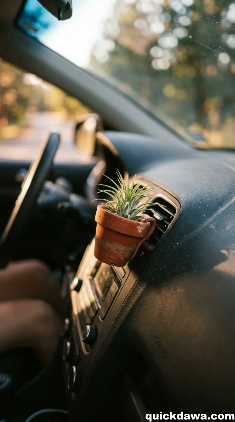 Terracotta Air Plant Holder